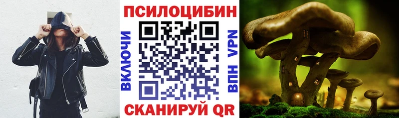 даркнет сайт  Куровское  Галлюциногенные грибы MAGIC MUSHROOMS 