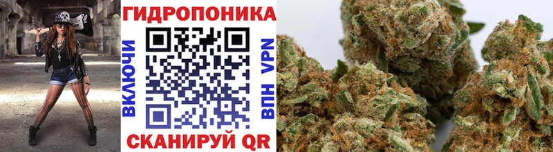 где купить наркоту Куровское Бошки марихуана Bruce Banner